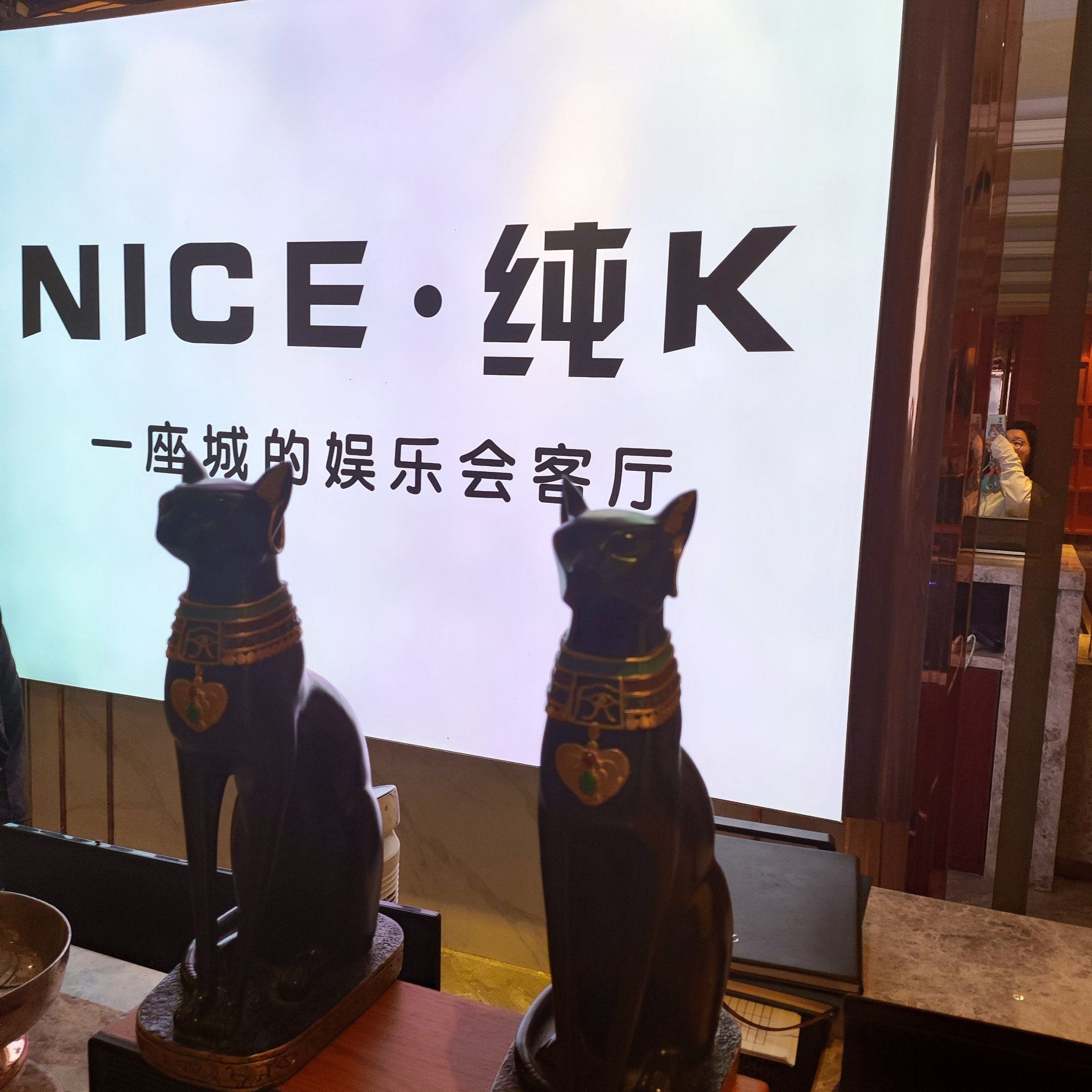 南充商务ktv最新玩法-高坪区ktv预订